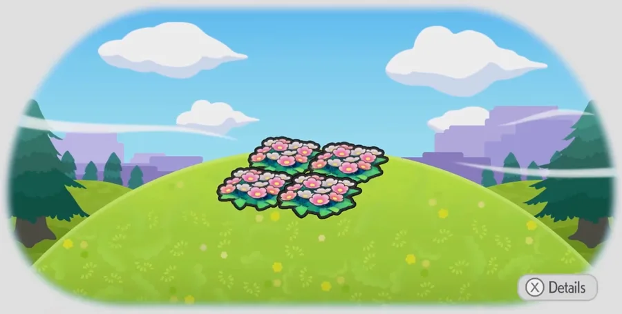Elevated flower bed