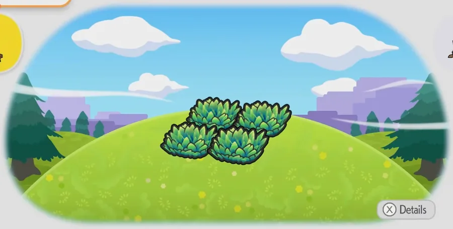 Elevated tall grass