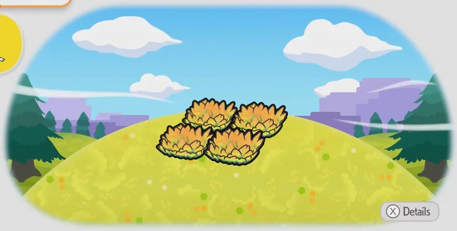 Elevated yellow tall grass