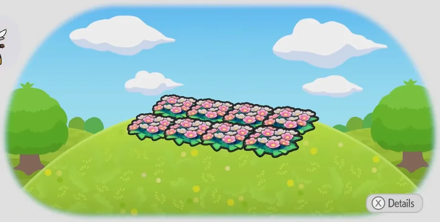 Field of flowers