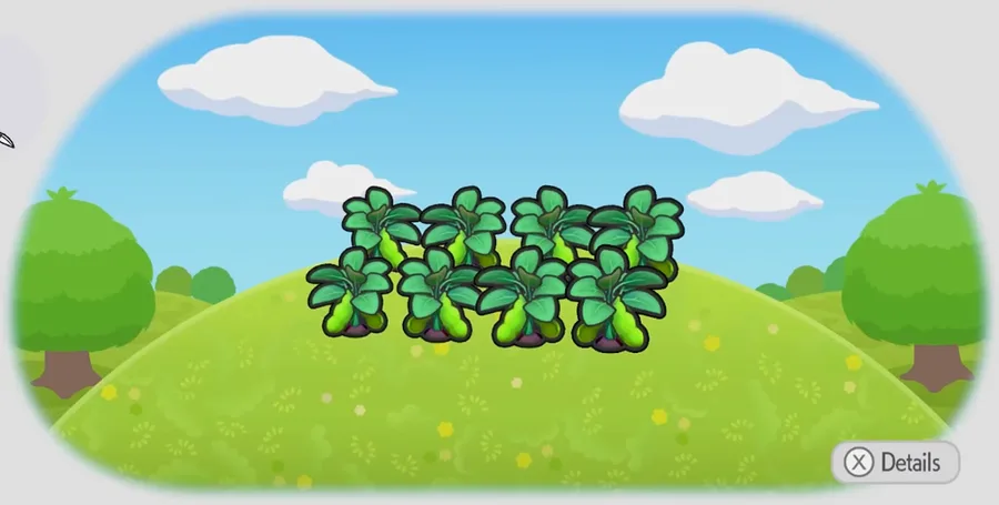Fresh veggie field