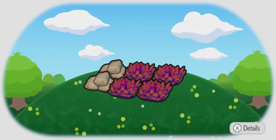Grassy training field