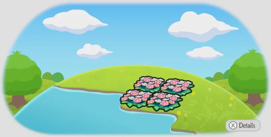 Hydrated flower bed