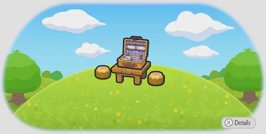 Picnic set