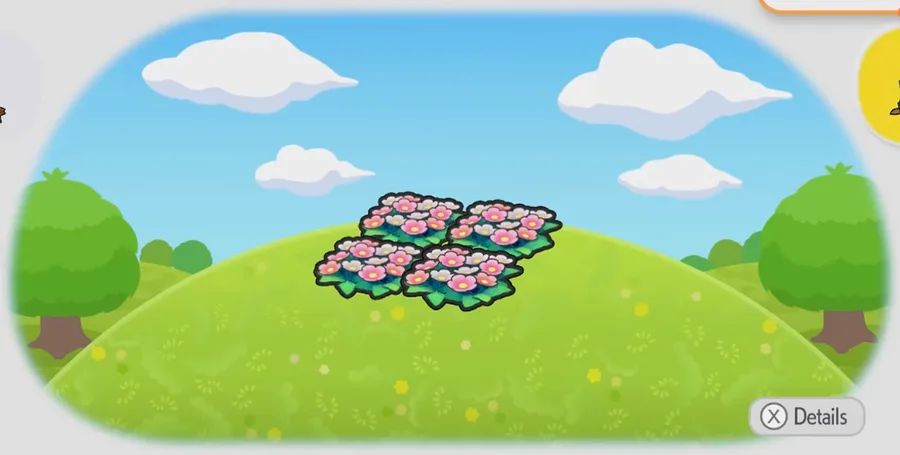 Pretty flower bed