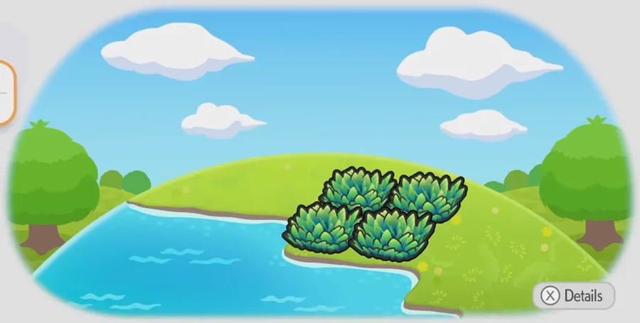 Seaside tall grass