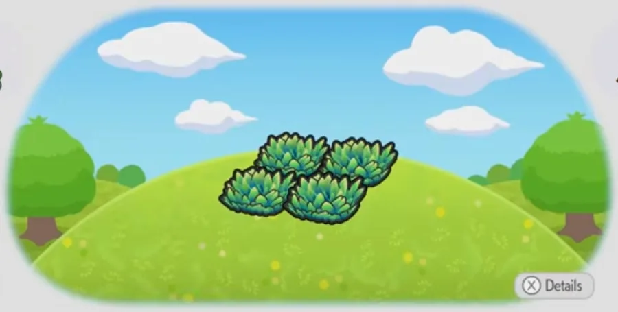 Tall grass