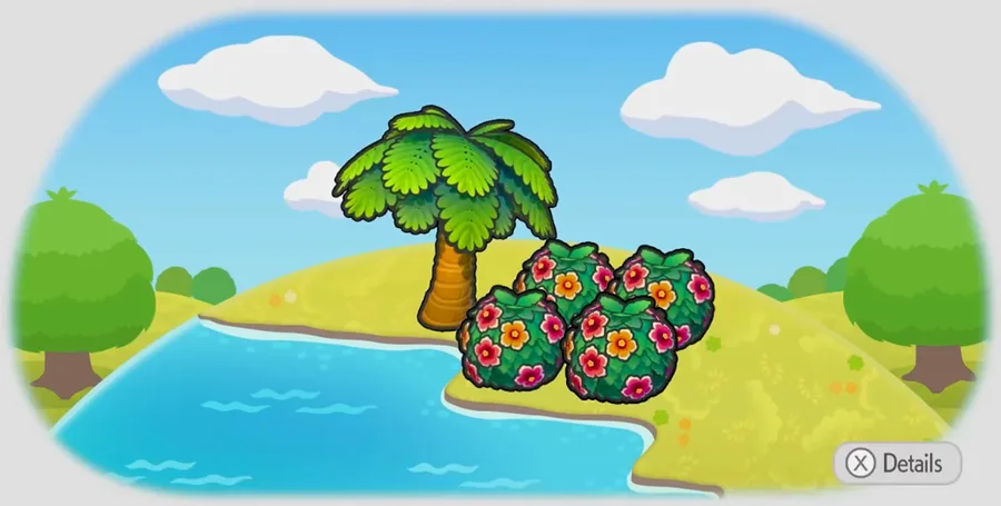 Tropical seaside