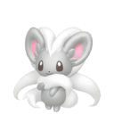 Cinccino