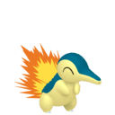 Cyndaquil