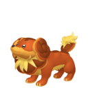 Dachsbun