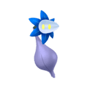 Glimmet