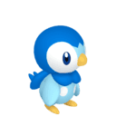 Piplup