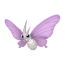 Venomoth