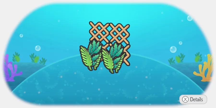 Seaweed and netting