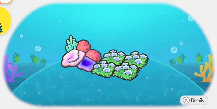 Swaying flower bed and coral