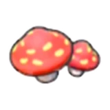 Cave mushrooms