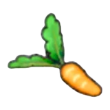 Fresh carrot