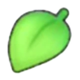 Leaf