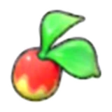 Leppa Berry