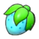 Rawst Berry