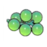 Sea grapes